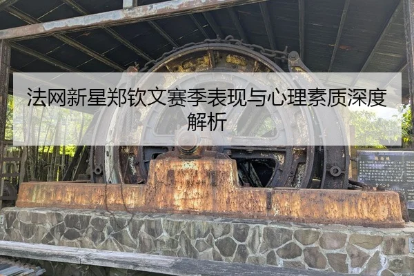 法网新星郑钦文赛季表现与心理素质深度解析